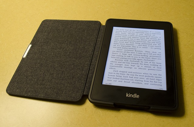 Finding Free e-Books Online
